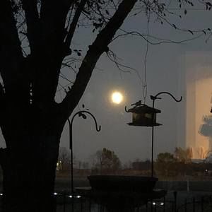 Meet your Posher, Marsha